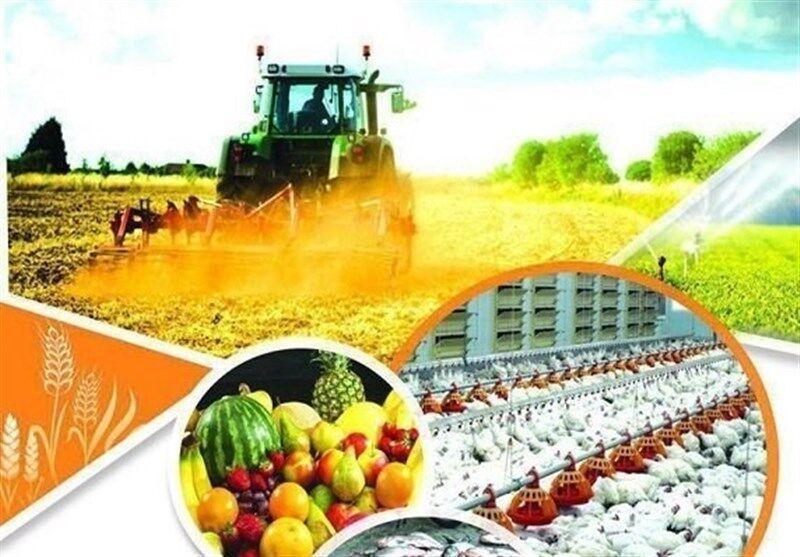 خبرنگاران افتتاح 75 طرح کشاورزی در استان تهران