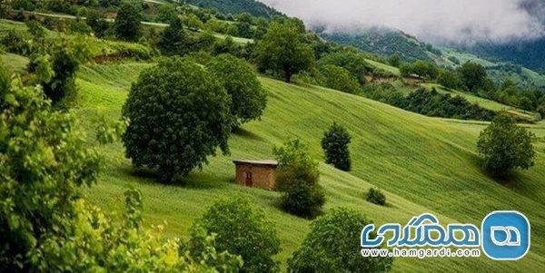 ییلاق زودل سر یکی از جاذبه های شهر فومن است ییلاق زودل سر یکی از جاذبه های شهر فومن است