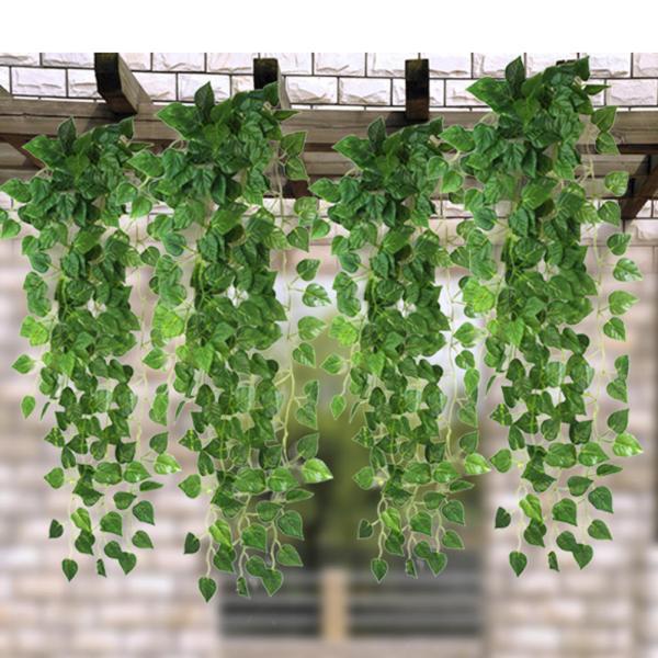 11 گیاه علفی و فراینده که از در و دیوار خانه تان بالا می فرایند!